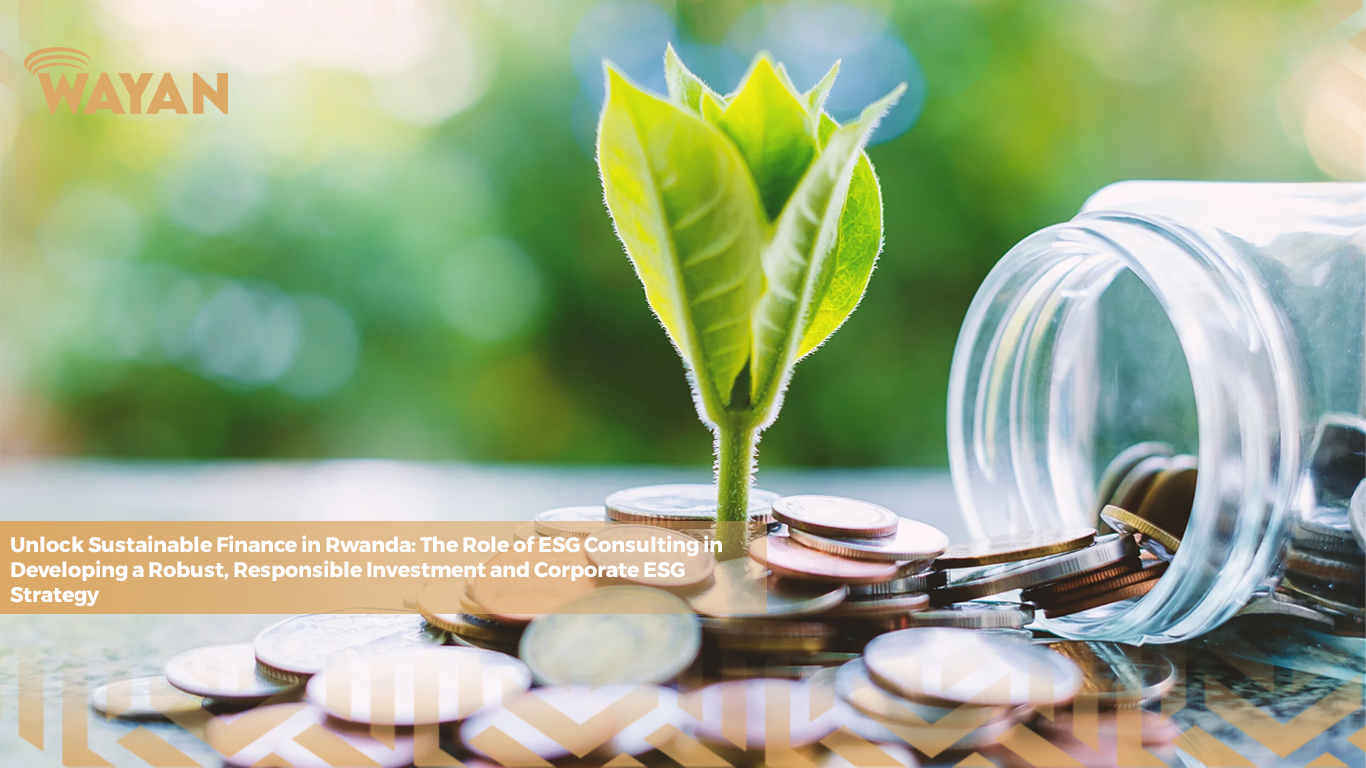 sustainable finance in Rwanda and ESG strategy